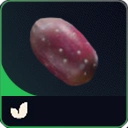Prickly Pear